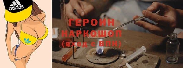 сатива Няндома