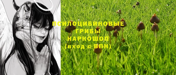бутират Алзамай